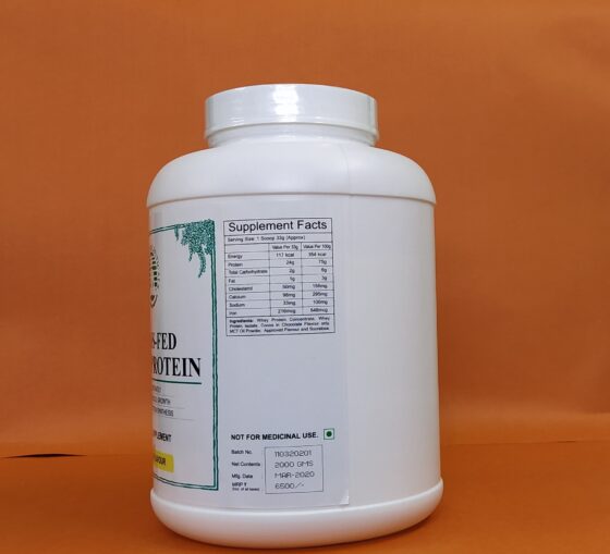 Whey Protein Concentrate - Vanilla Flavour - Image 2