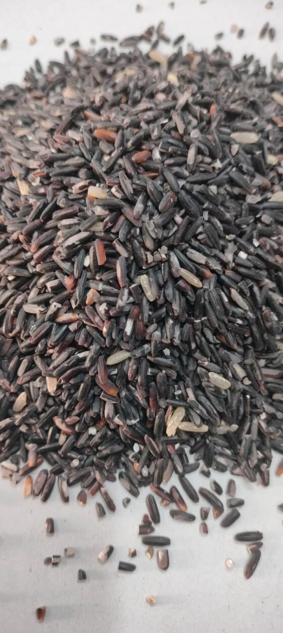 Himalayan Black Rice - 500 Grams - Image 2