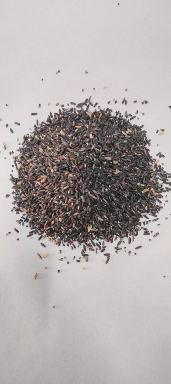 Himalayan Black Rice - 500 Grams