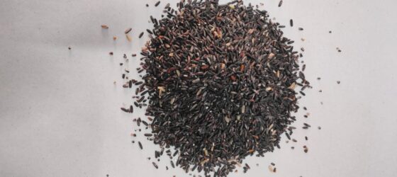 Himalayan Black Rice - 500 Grams - Image 3