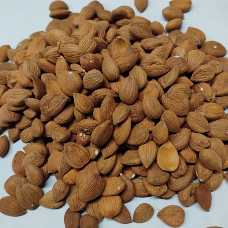 Himalayan Anti Inflammatory Mamra Small Almonds